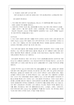 이랜드 E-land의 중국진출전략-8