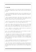 이랜드 E-land의 중국진출전략-9