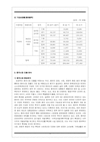 이랜드 E-land의 중국진출전략-17