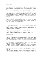 바이럴 광고에 나타난 문화의 차이점에 따른 광고전략-9