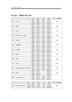 바이럴 광고에 나타난 문화의 차이점에 따른 광고전략-17