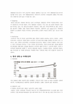 다이소 분석 레포트-2