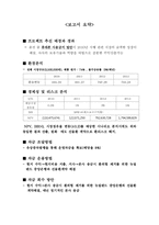 [국제재무] 뉴질랜드 핸즈프리 사업진출 방향-2