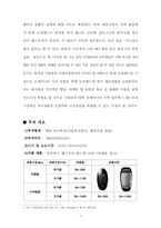 [국제재무] 뉴질랜드 핸즈프리 사업진출 방향-4