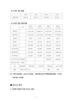 [국제재무] 뉴질랜드 핸즈프리 사업진출 방향-9