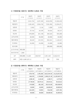 [국제재무] 뉴질랜드 핸즈프리 사업진출 방향-10