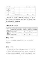 [국제재무] 뉴질랜드 핸즈프리 사업진출 방향-11