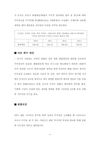 [국제재무] 뉴질랜드 핸즈프리 사업진출 방향-12