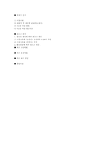 [국제재무] 뉴질랜드 핸즈프리 사업진출 방향-14