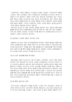 [국제경영 사례 분석] 유니더스 해외진출 전략-11