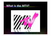 [경영학] MTV 엠티비 사례-2