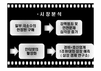 [광고기획론] 호신용 스프레이 & 호신용 경보기 & 호신용 침 판매 촉진 전략-4