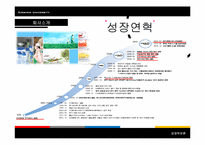 [경영학] 락앤락 분석 및 마케팅전략-11