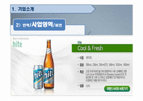 [경영학원론] HITE 하이트 기업분석-10