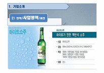 [경영학원론] HITE 하이트 기업분석-14