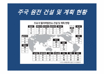 [글로벌경영] 한국전력의 원전수주 성공을 위한 전략-5
