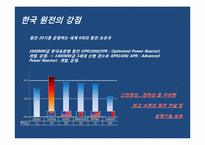 [글로벌경영] 한국전력의 원전수주 성공을 위한 전략-7
