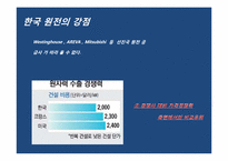 [글로벌경영] 한국전력의 원전수주 성공을 위한 전략-8