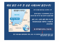 [글로벌경영] 한국전력의 원전수주 성공을 위한 전략-9