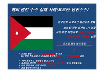 [글로벌경영] 한국전력의 원전수주 성공을 위한 전략-12