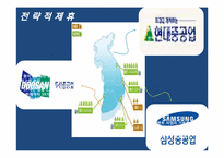 [글로벌경영] 한국전력의 원전수주 성공을 위한 전략-19