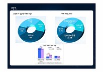 [마케팅전략] 신제품개발 DSLR과 폴라로이드의 결합 상품-13
