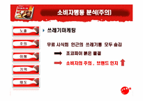 [소비자행동] 오리온초코파이 성공적인 중국시장 진출사례와 소비자행동 분석-15
