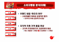 [소비자행동] 오리온초코파이 성공적인 중국시장 진출사례와 소비자행동 분석-16