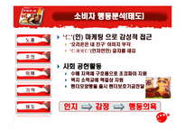[소비자행동] 오리온초코파이 성공적인 중국시장 진출사례와 소비자행동 분석-19