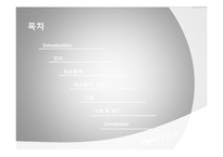 [소비자행동분석] 하이브리드 DSLR을 선택하게 되는 소비자의 행동 단계 모델 분석-2