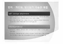 [소비자행동분석] 하이브리드 DSLR을 선택하게 되는 소비자의 행동 단계 모델 분석-8