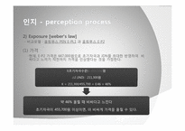 [소비자행동분석] 하이브리드 DSLR을 선택하게 되는 소비자의 행동 단계 모델 분석-10