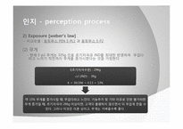 [소비자행동분석] 하이브리드 DSLR을 선택하게 되는 소비자의 행동 단계 모델 분석-11