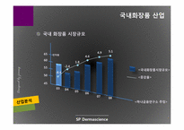 [재무관리] SP 더마사이언스 분석-4