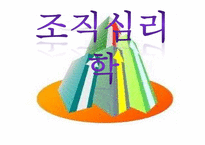 [조직심리학] 수평적 조직구조-1