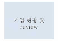 [조직심리학] 수평적 조직구조-3