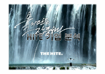 [환경분석론] HITE 하이트 기업 분석-1