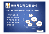[환경분석론] HITE 하이트 기업 분석-14