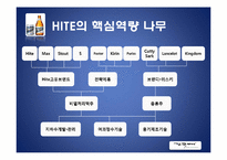 [환경분석론] HITE 하이트 기업 분석-19