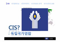 [한국무역론] 남아시아와 CIS-16