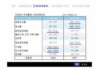 [한국무역론] 남아시아와 CIS-19