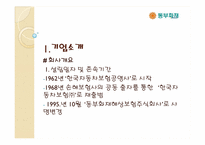 동부화재 금융기관의 해외진출 사례-5