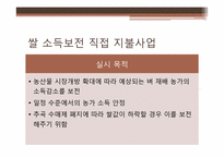 쌀 소득 보전 직접 지불 사업-4