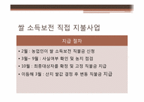 쌀 소득 보전 직접 지불 사업-7