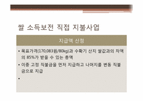 쌀 소득 보전 직접 지불 사업-8