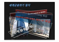세계경제위기와 그 영향-4
