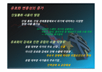 세계경제위기와 그 영향-12