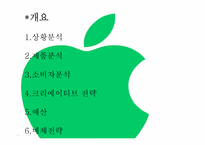아이폰 광고기획서-2