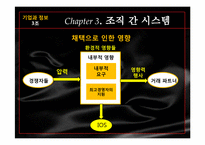 전자상거래와 연계된 정보기술의 활용-17