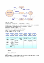 [국제경영] 롯데홈쇼핑의 베트남시장 진출전략-12